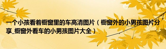 一个小孩看着橱窗里的车高清图片(橱窗外的小男孩图片分享_橱窗外看车的小男孩图片大全)