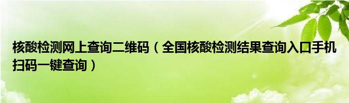 核酸检测网上查询二维码(全国核酸检测结果查询入口手机扫码一键查询)