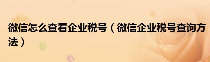 微信怎么查看企业税号(微信企业税号查询方法)