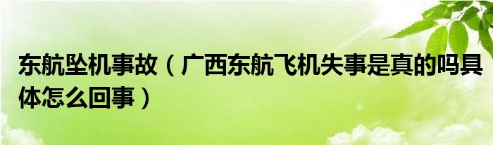 东航坠机事故(广西东航飞机失事是真的吗具体怎么回事)