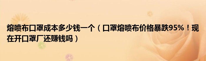 熔喷布口罩成本多少钱一个(口罩熔喷布价格暴跌95%!现在开口罩厂还赚钱吗)