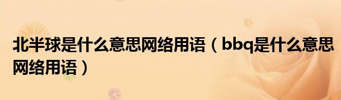 北半球是什么意思网络用语(bbq是什么意思网络用语)
