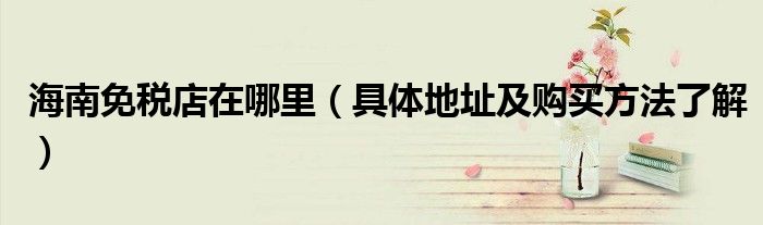 海南免税店在哪里(具体地址及购买方法了解)