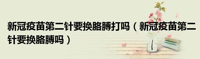 新冠疫苗第二针要换胳膊打吗(新冠疫苗第二针要换胳膊吗)