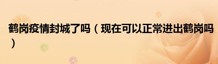 鹤岗疫情封城了吗(现在可以正常进出鹤岗吗)