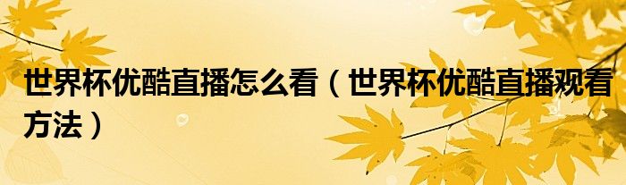 世界杯优酷直播怎么看（世界杯优酷直播观看方法）