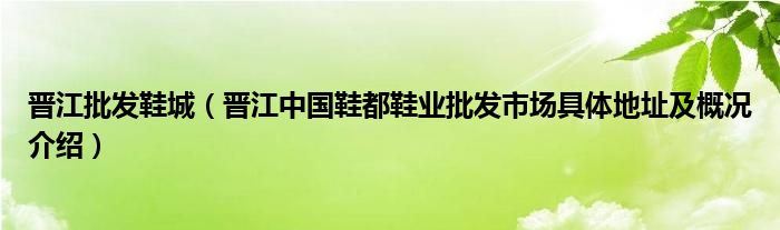 晋江批发鞋城(晋江中国鞋都鞋业批发市场具体地址及概况介绍)