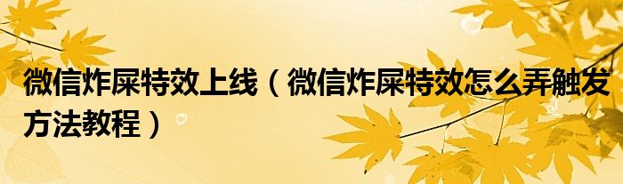 微信炸屎特效上线(微信炸屎特效怎么弄触发方法教程)