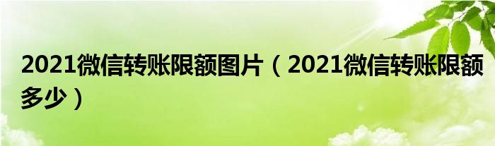 2021微信转账限额图片(2021微信转账限额多少)