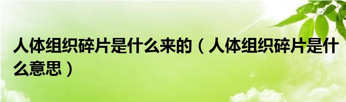 人体组织碎片是什么来的(人体组织碎片是什么意思)