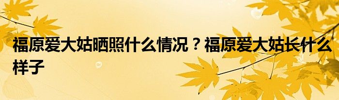 福原爱大姑晒照什么情况？福原爱大姑长什么样子