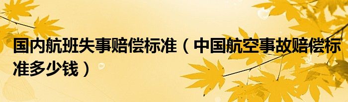 国内航班失事赔偿标准(中国航空事故赔偿标准多少钱)