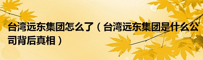 台湾远东集团怎么了(台湾远东集团是什么公司背后真相)