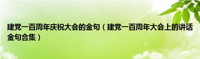 建党一百周年庆祝大会的金句(建党一百周年大会上的讲话金句合集)