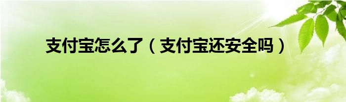 支付宝怎么了（支付宝还安全吗）