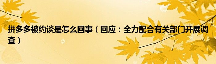 拼多多被约谈是怎么回事(回应:全力配合有关部门开展调查)