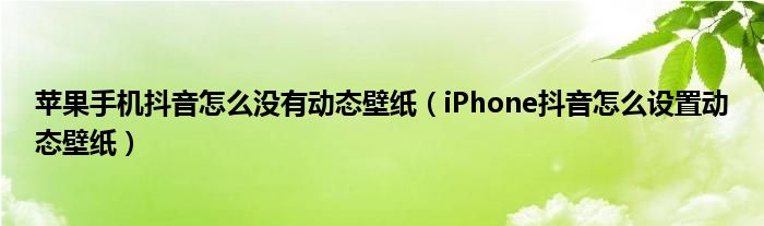 苹果手机抖音怎么没有动态壁纸(iPhone抖音怎么设置动态壁纸)