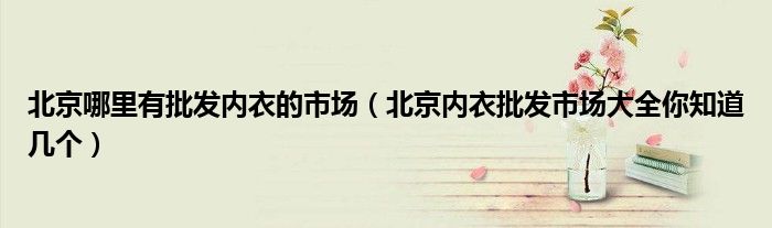 北京哪里有批发内衣的市场(北京内衣批发市场大全你知道几个)