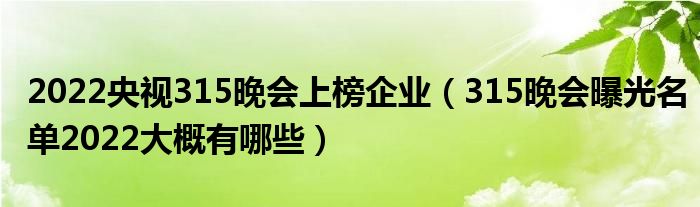 2022央视315晚会上榜企业(315晚会曝光名单2022大概有哪些)