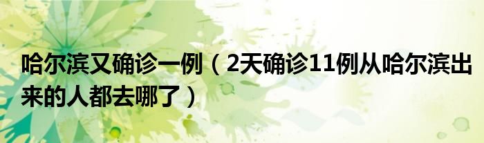 哈尔滨又确诊一例(2天确诊11例从哈尔滨出来的人都去哪了)