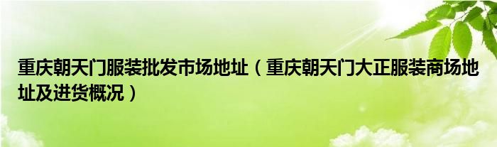 重庆朝天门服装批发市场地址(重庆朝天门大正服装商场地址及进货概况)