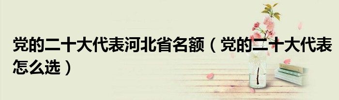 党的二十大代表河北省名额(党的二十大代表怎么选)