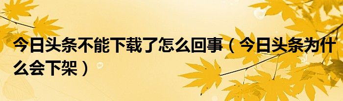 今日头条不能下载了怎么回事(今日头条为什么会下架)