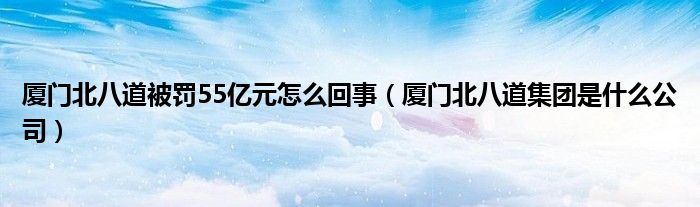厦门北八道被罚55亿元怎么回事(厦门北八道集团是什么公司)