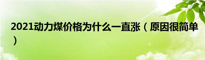 2021动力煤价格为什么一直涨(原因很简单)