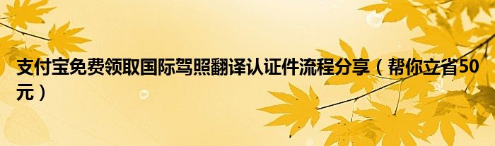 支付宝免费领取国际驾照翻译认证件流程分享(帮你立省50元)