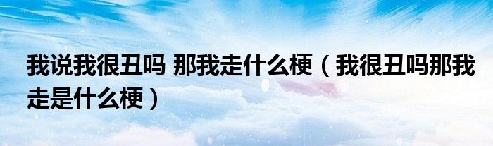 我说我很丑吗 那我走什么梗(我很丑吗那我走是什么梗)