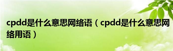cpdd是什么意思网络语(cpdd是什么意思网络用语)