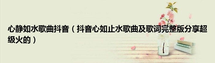 心静如水歌曲抖音(抖音心如止水歌曲及歌词完整版分享超级火的)
