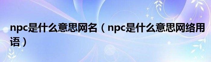 npc是什么意思网名(npc是什么意思网络用语)