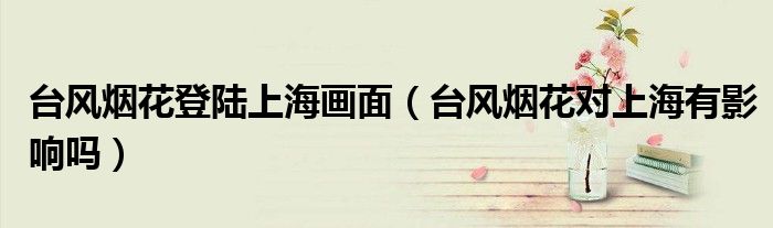 台风烟花登陆上海画面(台风烟花对上海有影响吗)