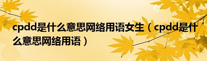 cpdd是什么意思网络用语女生(cpdd是什么意思网络用语)