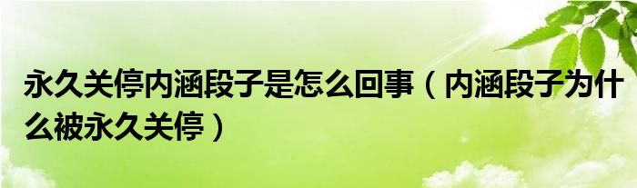 永久关停内涵段子是怎么回事(内涵段子为什么被永久关停)