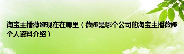 淘宝主播薇娅现在在哪里(薇娅是哪个公司的淘宝主播薇娅个人资料介绍)