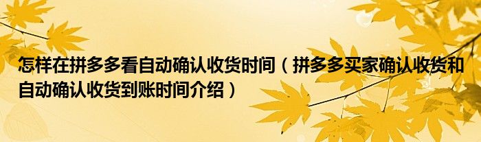 怎样在拼多多看自动确认收货时间(拼多多买家确认收货和自动确认收货到账时间介绍)