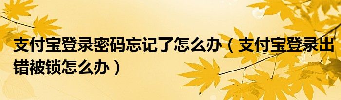 支付宝登录密码忘记了怎么办(支付宝登录出错被锁怎么办)