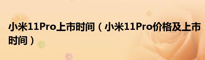 小米11Pro上市时间(小米11Pro价格及上市时间)