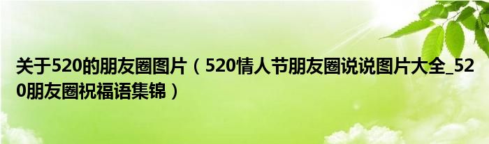 关于520的朋友圈图片(520情人节朋友圈说说图片大全_520朋友圈祝福语集锦)