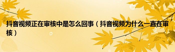抖音视频正在审核中是怎么回事(抖音视频为什么一直在审核)