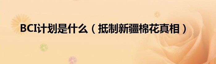 BCI计划是什么(抵制新疆棉花真相)