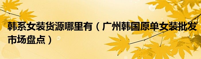 韩系女装货源哪里有(广州韩国原单女装批发市场盘点)