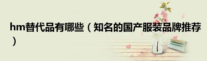 hm替代品有哪些(知名的国产服装品牌推荐)