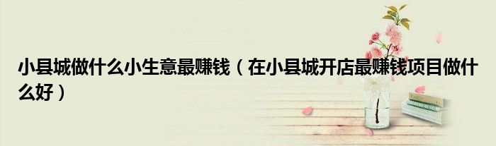 小县城做什么小生意最赚钱(在小县城开店最赚钱项目做什么好)
