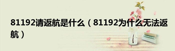 81192请返航是什么(81192为什么无法返航)