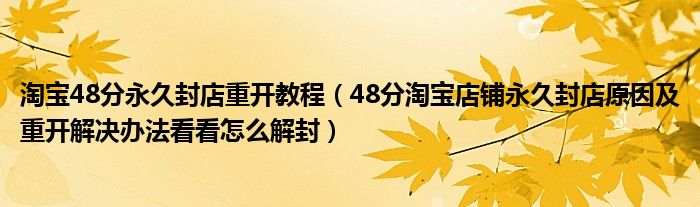淘宝48分永久封店重开教程(48分淘宝店铺永久封店原因及重开解决办法看看怎么解封)