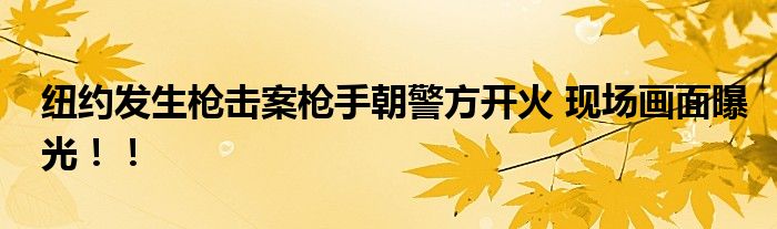纽约发生枪击案枪手朝警方开火 现场画面曝光！！